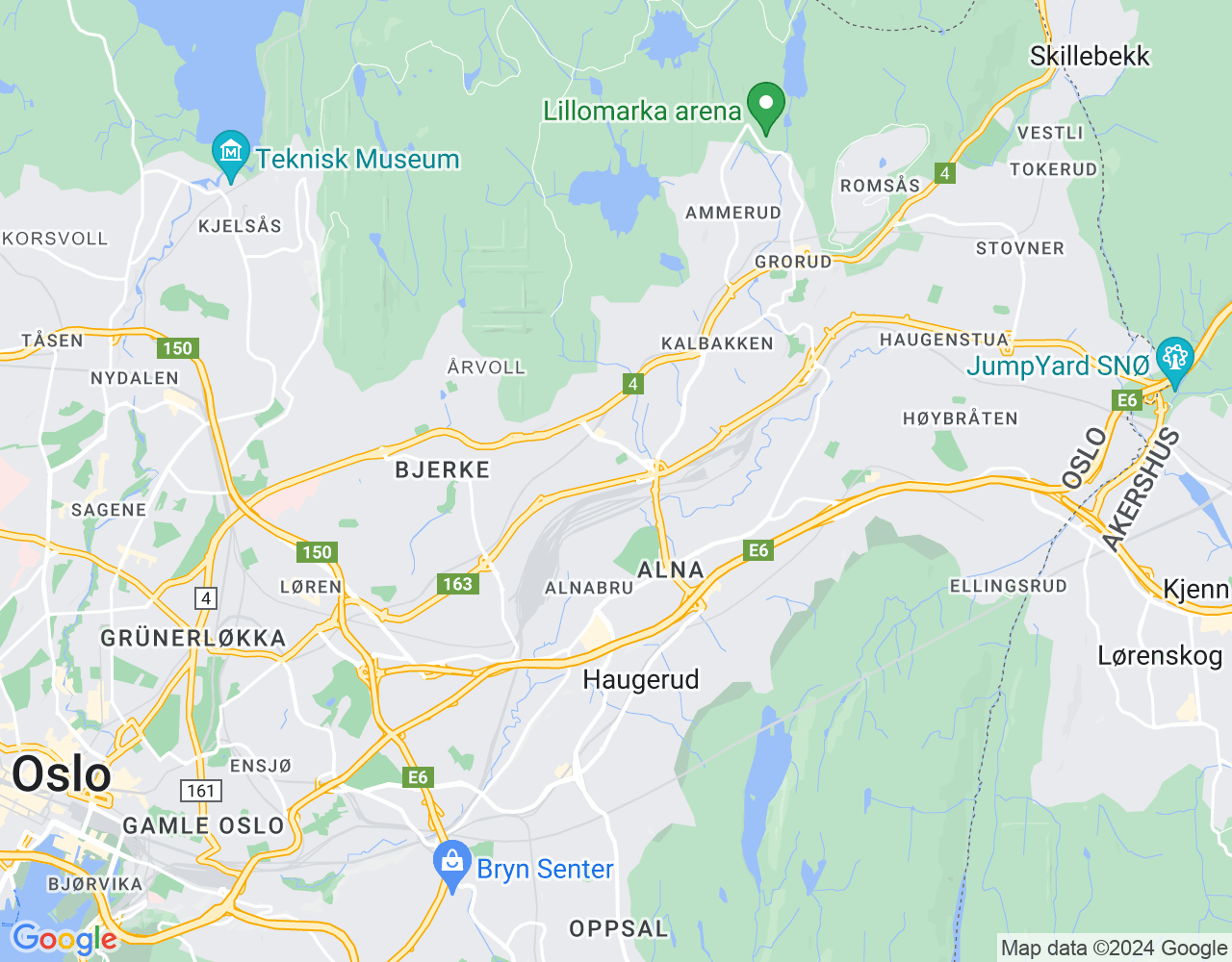 Google maps preview image