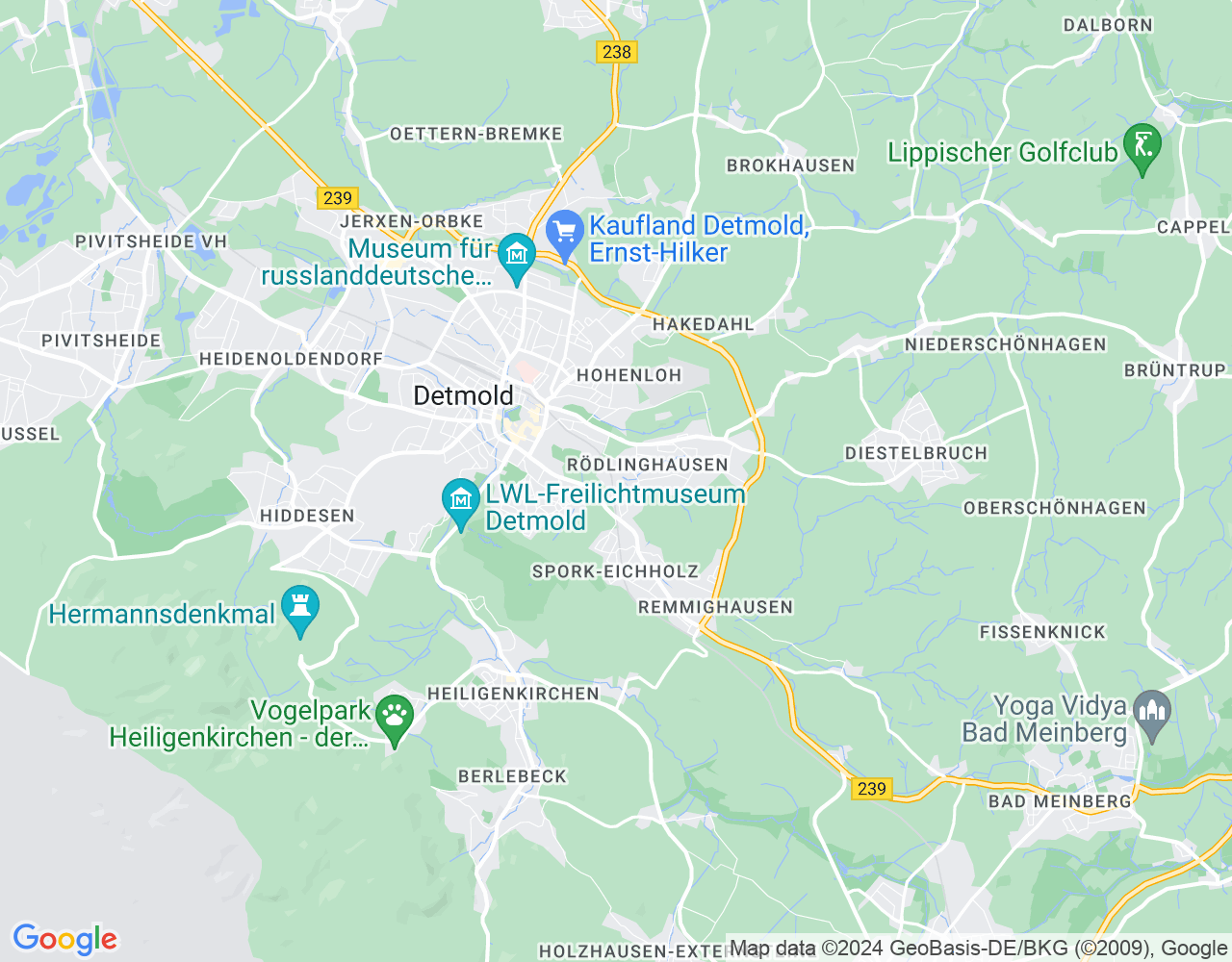 Google maps preview image